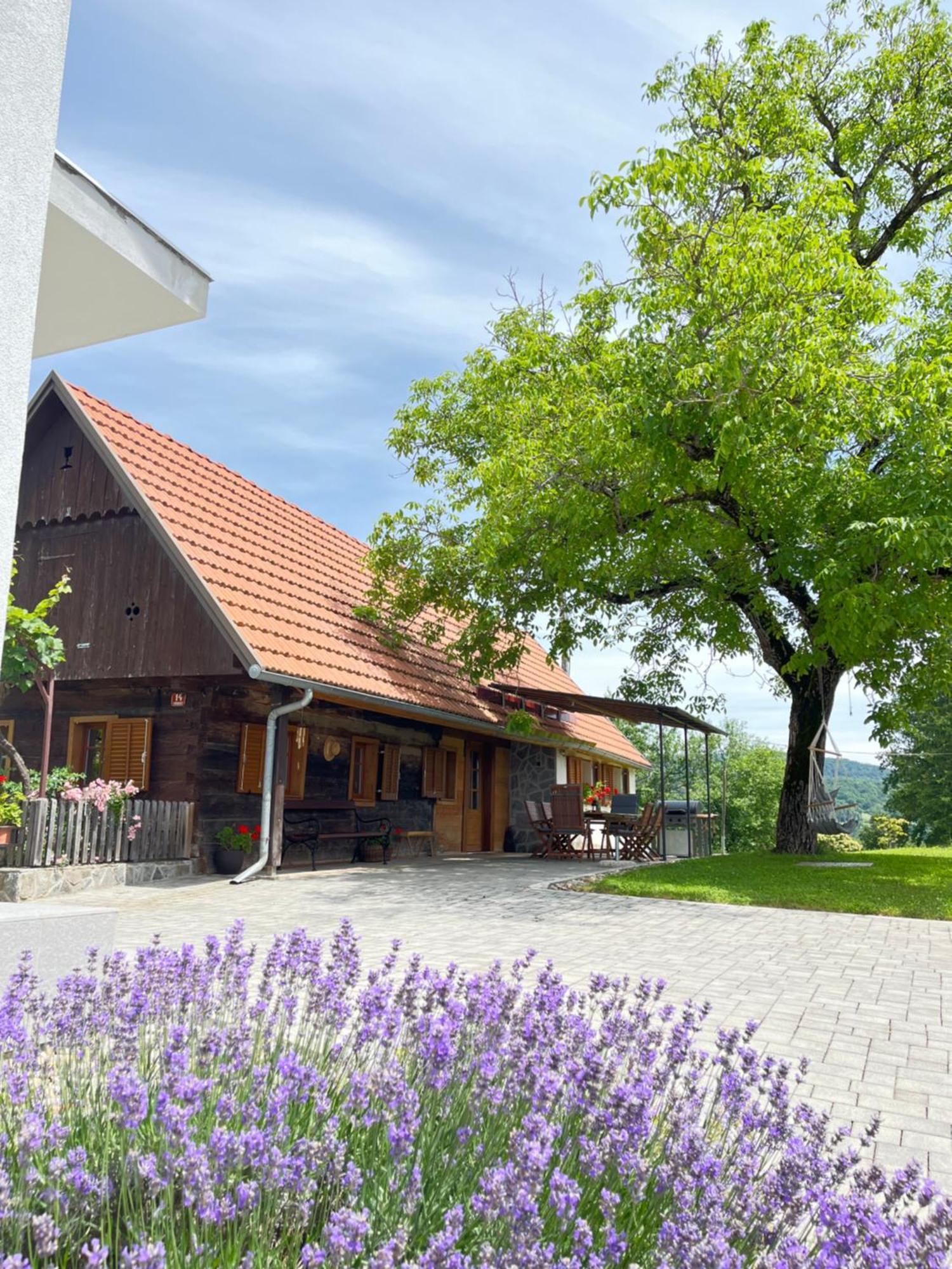 Domacija Brdar Villa Adlesici Eksteriør bilde